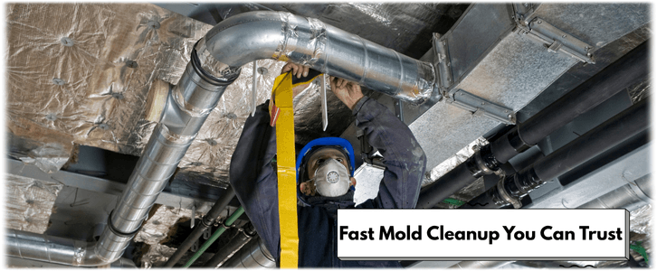 Air Duct Mold Removal in Dallas TX