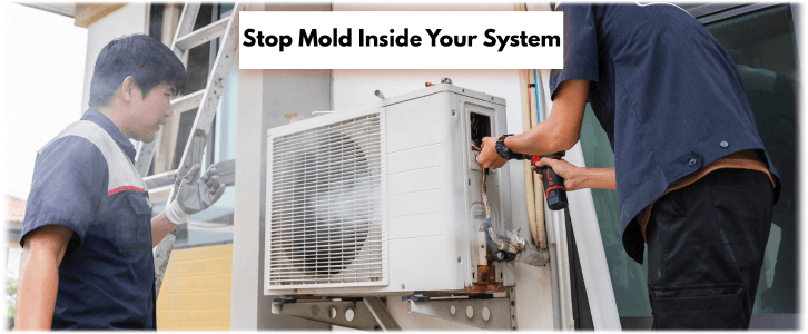 HVAC Mold Removal Dallas TX